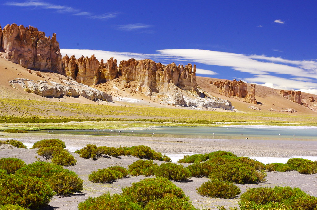 Salar de Tara - San Pedro de Atacama Chile.